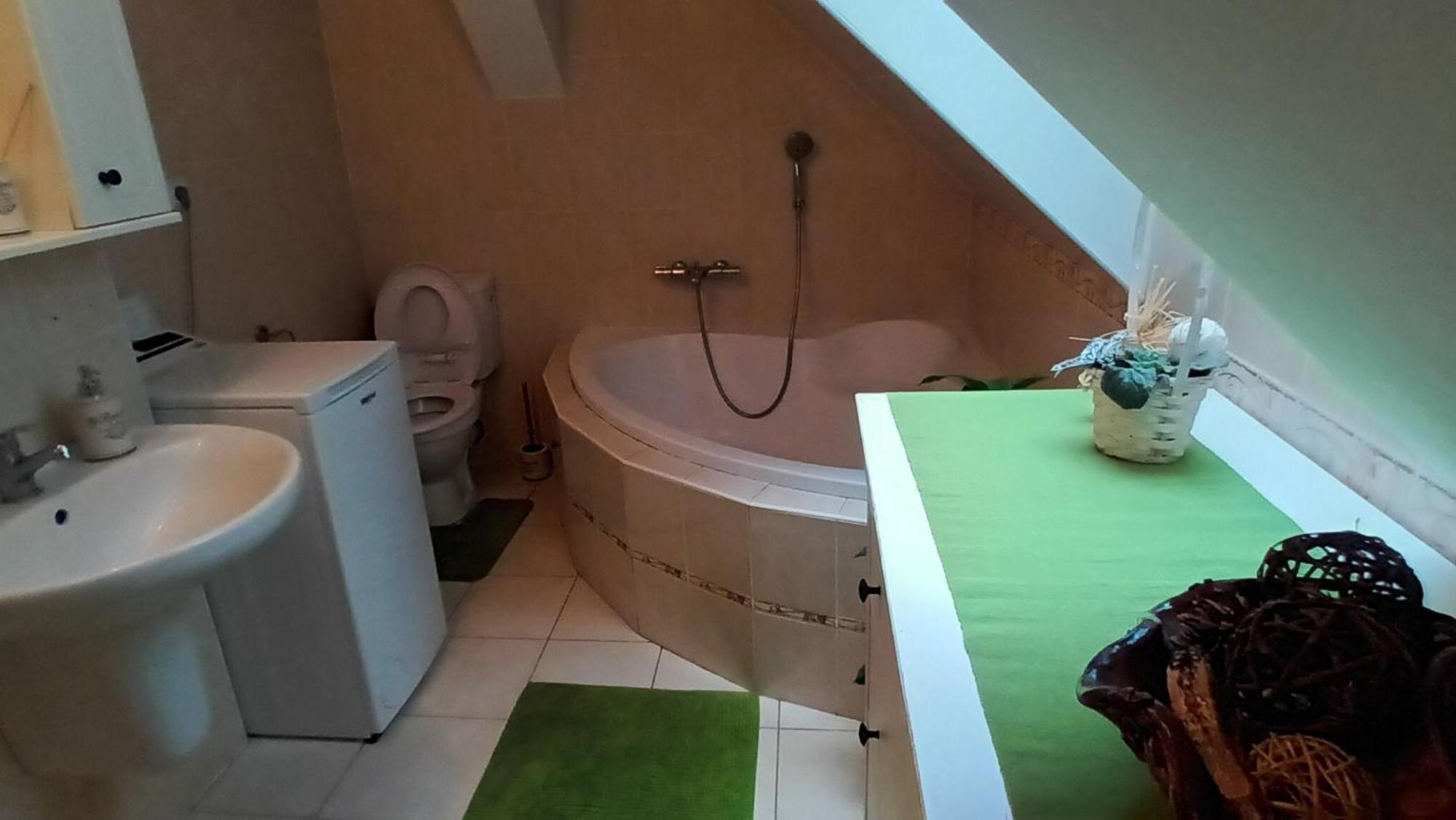 Apartmany Pod Putimskou Branou Písek Dış mekan fotoğraf